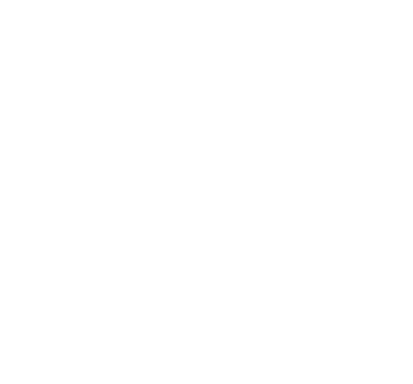 The Leading Trains