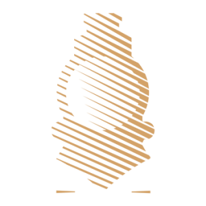 leadingtrains.com favicon